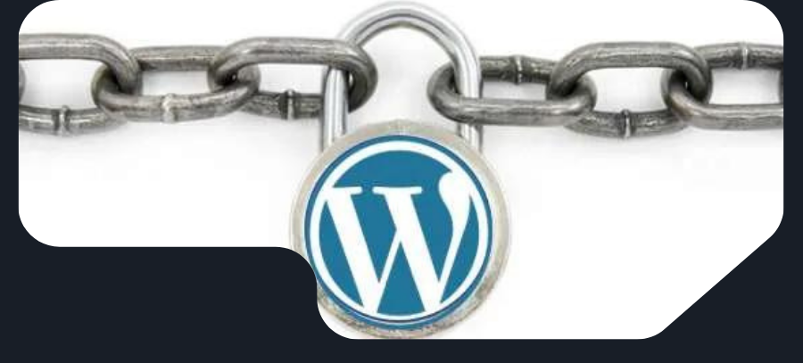 Why Protect Your WordPress Website?