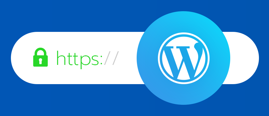 How to Install an SSL Certificate on Your WordPress Website